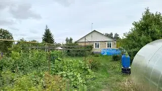 Август, начинаем собирать урожай. 04.08.2024г