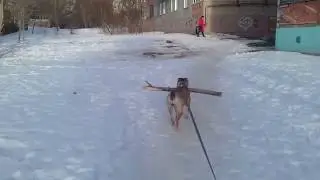 20180403 071816