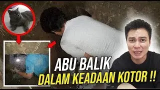 THOUGHT HE WAS DEAD.. BAIM CAT RETURNS IN A WORRIING CONDITION!! 