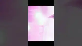 Пятёрка СТАЛ Леди Баг Minecraft Shorts