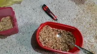 kümesi büyüttüm