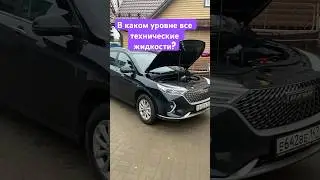 В каком уровне все технические жидкости в новом Хавале М6, пробег 1100 км