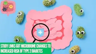 Study links gut microbiome changes to increased risk of type 2 diabetes