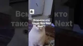 Всмысле кто такой Boy Next Door? 