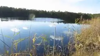 как достать утку...