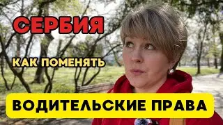 Замена российских водительских прав на сербские. Сколько стоит, какие документы нужны