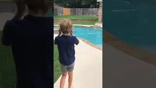 We found a deer swiming in our pool