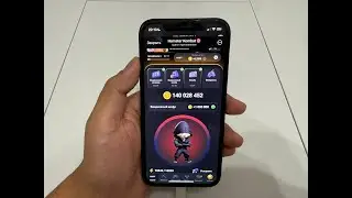 8 - 9 сентября Новый Шифр Азбука Морзе для хомяка: код в Hamster Kombat на сегодня