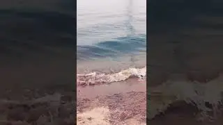 🌊