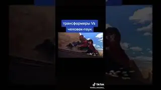 чем Ани не похожи