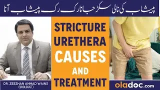 Intermittent Urination - Peshab Ruk Ruk Ky Ana - Din Me Kitni Bar Peshab Ana Chahie - UTI Solution