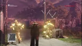 HITMAN:Испытания; Плетеный человек,Птицы не пройдут