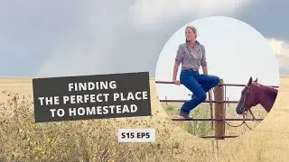 S15: E5: The PERFECT Place to Homestead