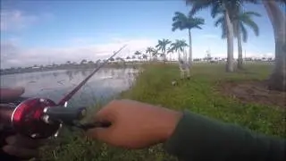Yanking a Bass from its humble abode