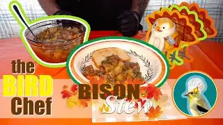 Bison Stew | Quick n Easy Recipe | The BIRD Chef