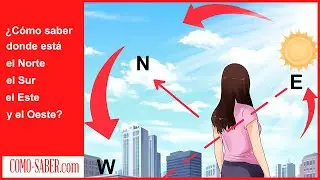 Cómo saber donde esta el Norte, el Sur, el Este y el Oeste 🧭