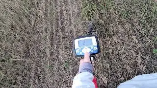 MT-705 with a coil from TC800. False signals on a Chinese metal detector