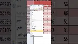 Excel Tip - Number Formatting in Excel - To display long digit numbers in Excel.