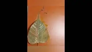 3 easy leaf drawing painting ideas / पत्ते पर चित्र बनाना सीखें / leaf drawing easy method ||
