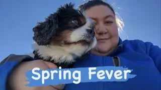 A Weekend In My Life *Cute animals* | Tuesday Vlog