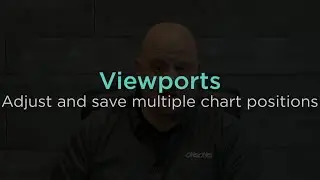 Adjust and Save Multiple Chart Positions with Viewports