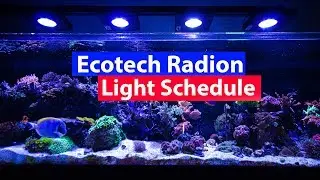 Ecotech Radion Lighting Schedule Settings and Profiles Download