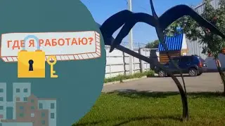 На работу как на праздник! Наша территория! Птицы черные, цветы красивые!