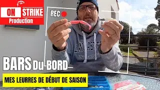 Début de saison: MES 3 LEURRES pour la PÊCHE du BAR