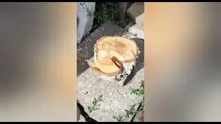 Из чего сделать хороший колун для дров