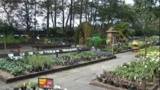 Lady Green Garden Centre