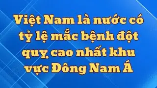 Vietnam is the country with the highest stroke rate in Southeast Asia.