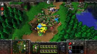1 human vs 3 random insane computer AI in Warcraft III: Reforged