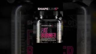 Shape and Line
