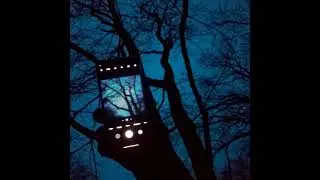 [SOLD] crystal castles type beat - everdream (
