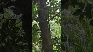 veja as criações daqui kkkk