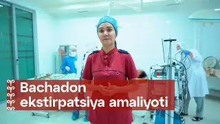Bachadon ekstirpatsiyasi jarrohlik amaliyoti | Olam Klinika