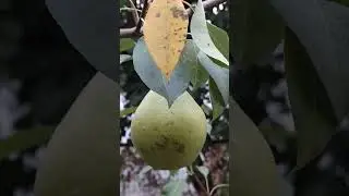 Доброе утро! Желаю Вам мира и добра! Пусть всё будет хорошо!