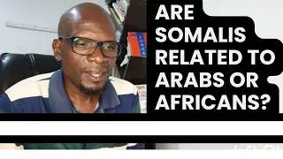 Are Somalis related to Arabs or Africans?