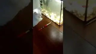 Как интересно!