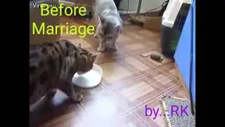 Before Marriage Experience
