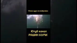 #short