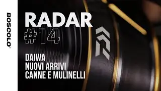 RADAR #14 DAIWA: tanti prodotti Daiwa da vedere insieme