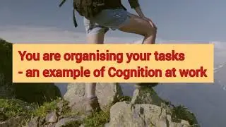 Thinking and intelligence| cognition | How intelligence varies from person to person? | psychology
