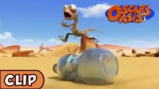 Oscar's Oasis - Bottled Up!