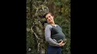 Clips That Impregnated MatPat
