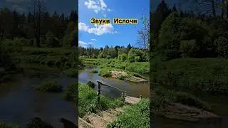 Звуки Ислочи. На прогулке по берегу Ислочи. #природа #беларусь #ислочь #красота #fotochernika