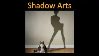 How are SHADOWS formed?