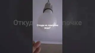 Из лампы- вода, а из крана- свет?🫢🙃😁😁😁