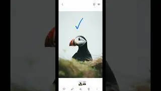 Adobe Lightroom Like Presets on Samsung Gallery App #editingphotos #adobelightroom #samsung #android