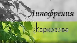 Валентина Каркозова - Липофрения / Рок / Музыка